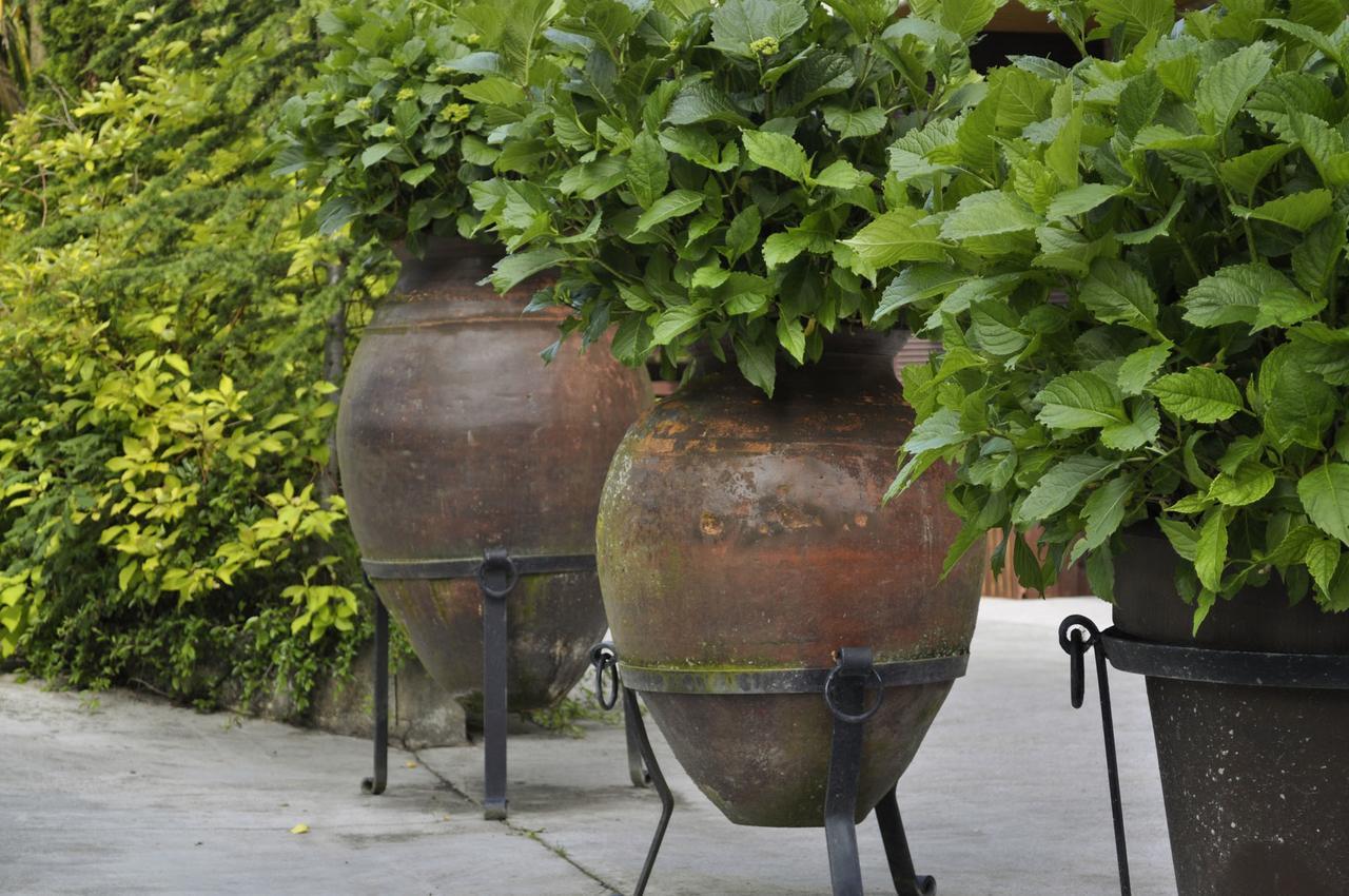 Pazo De Monterrei Hotel Orense Kültér fotó